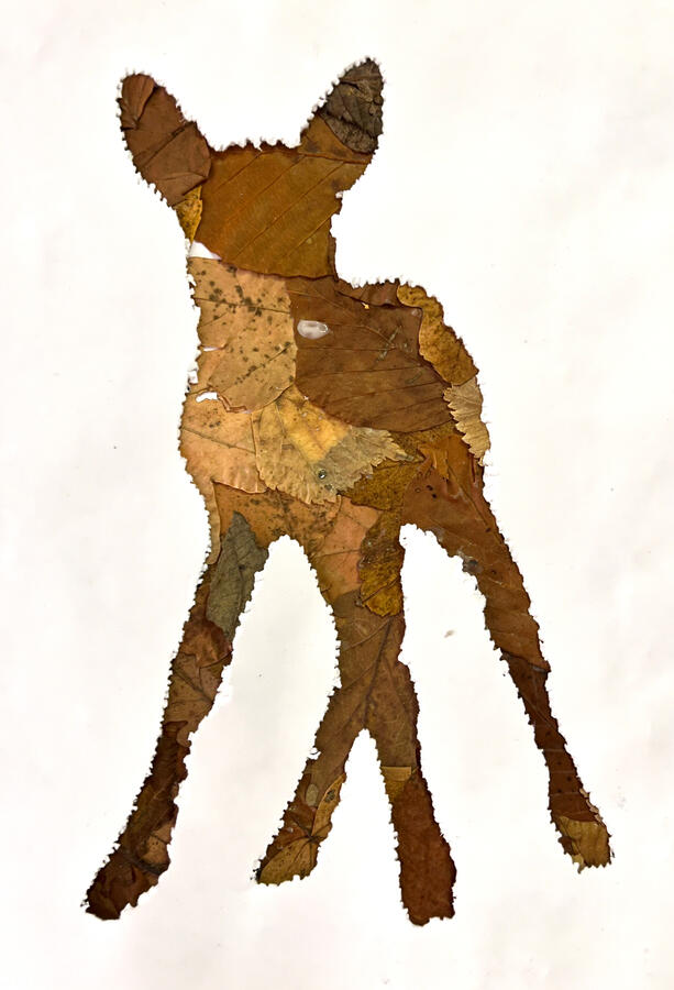 Untitled Untitled